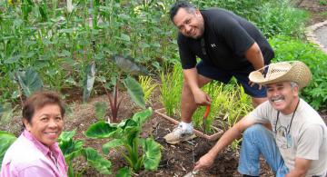Preserve and Enhance the Maui Cooperative Extension Gardens