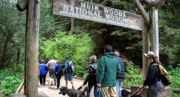 Field testers at Muir Woods pilot testing an audio accessibility app for national parks