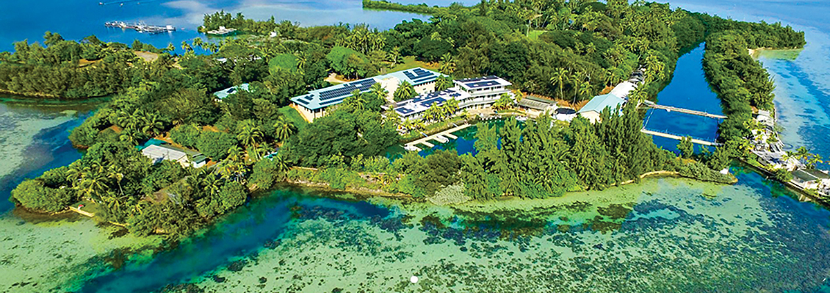 Hawaiʻi Institute of Marine Biology