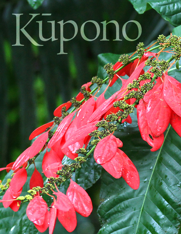 Kupono Winter 2022 cover