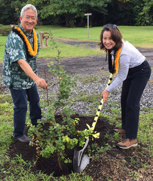Vincent and Alison planting a 'Ōhi'a Lehua tree that will be named for them at the bee farm.