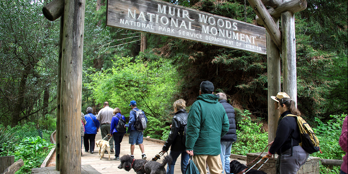 Field testers at Muir Woods pilot testing an audio accessibility app for national parks