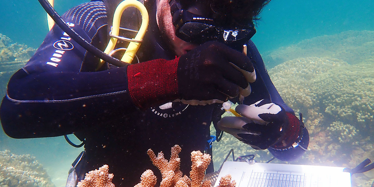“Healthy coral reefs benefit everyone,” says Shayle Matsuda.