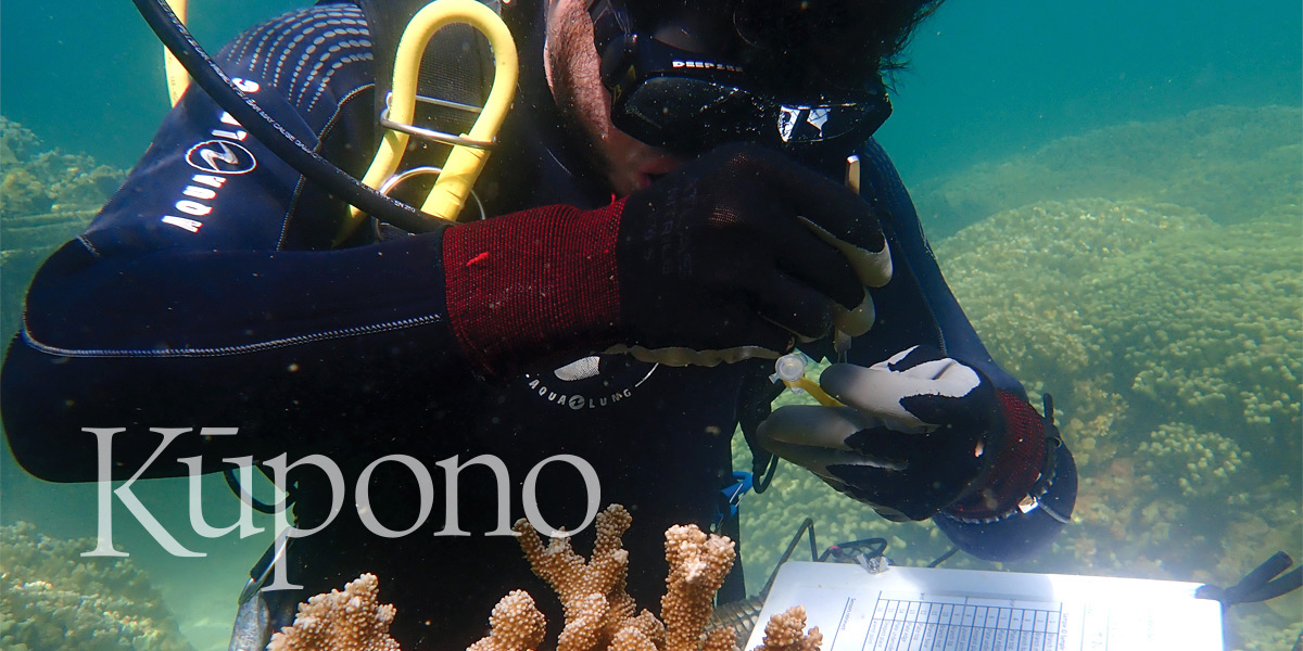 Kūpono Summer 2021 Issue cover: Scuba diver looking at coral reef specimen