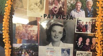 collage of photos of Patricia Adams