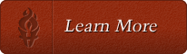 learn more button
