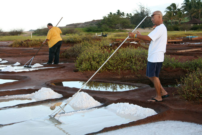 Making paʻakai (salt) on the island of Kauaʻi.